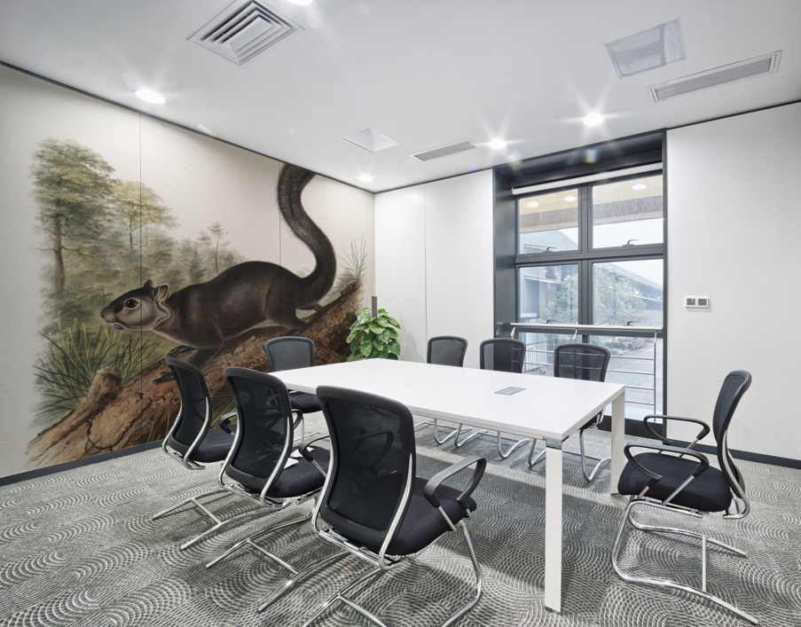 Dusky Sqiurrel Sciurus nigrenscens  Wall Printing