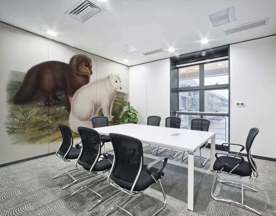 Arctic Fox Vulpes lagopus  Wall Printing