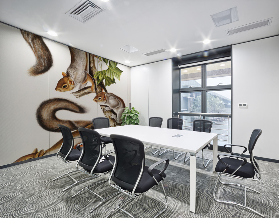 Migratory Squirrel Sciurus migratorius  Wall Printing