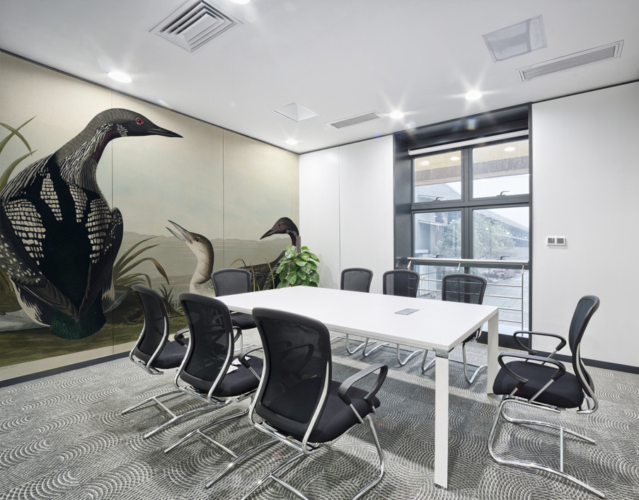 Black-Throated Diver Wall Printing