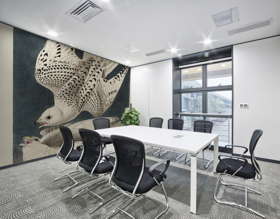 Iceland or Jer Falcon Wall Printing