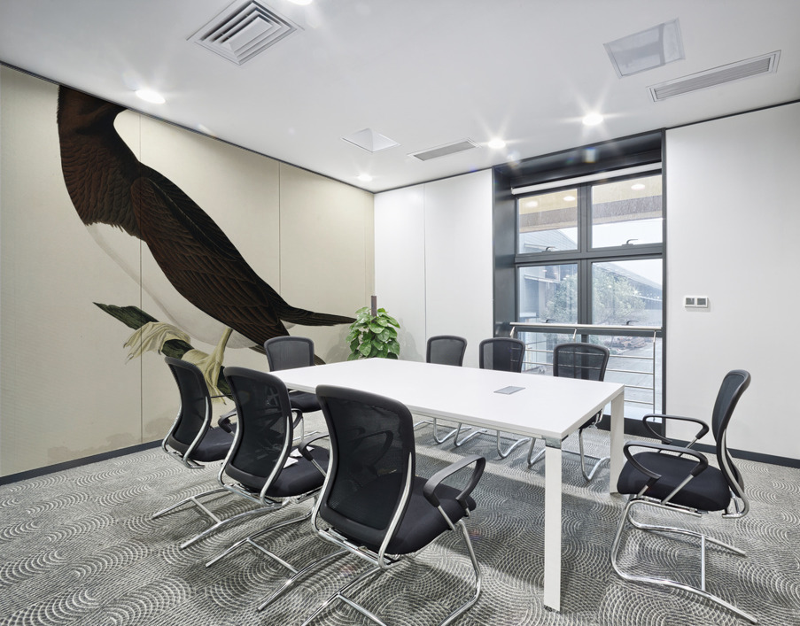 Booby Gannet Wall Printing