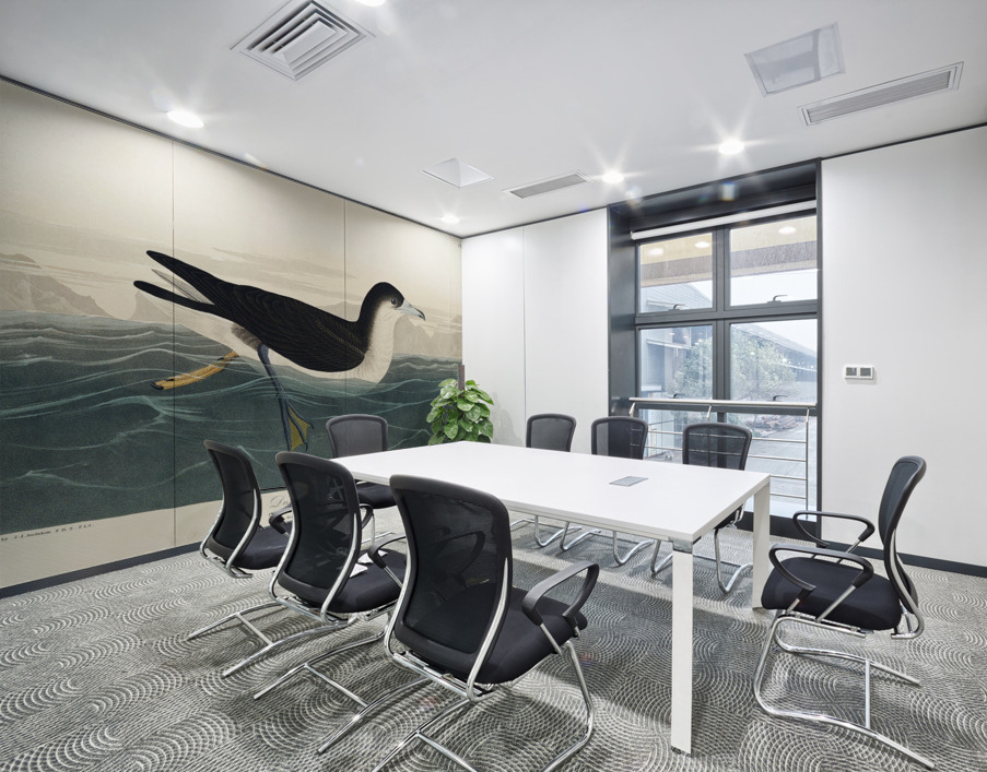 Dusky Petrel Wall Printing