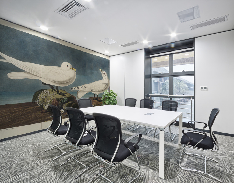 Ivory Gull Wall Printing