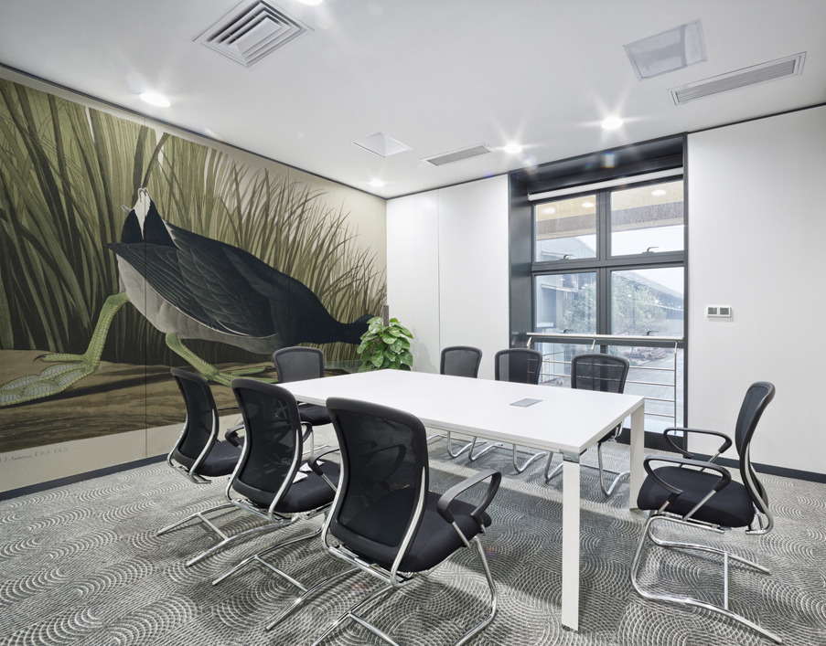 American Coot Wall Printing