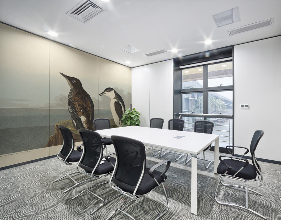 Slender-billed Guillemot Wall Printing