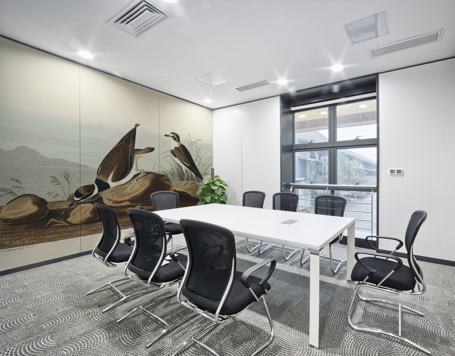 Ring Plover Wall Printing