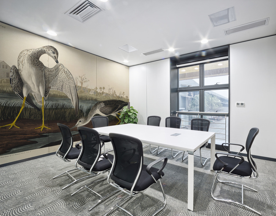 Tell-tale Godwit or Snipe Wall Printing