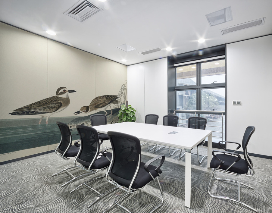 Wilsons Plover Wall Printing