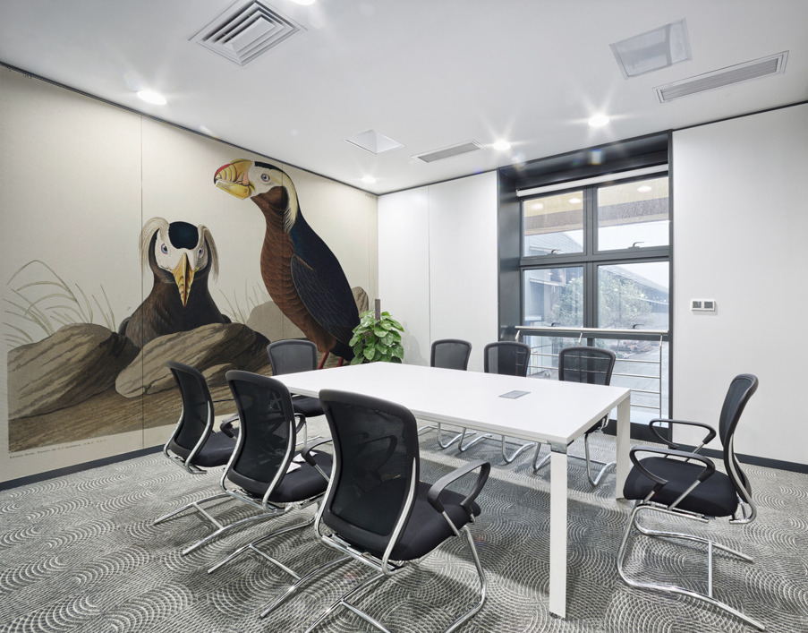 Tufted Auk Wall Printing