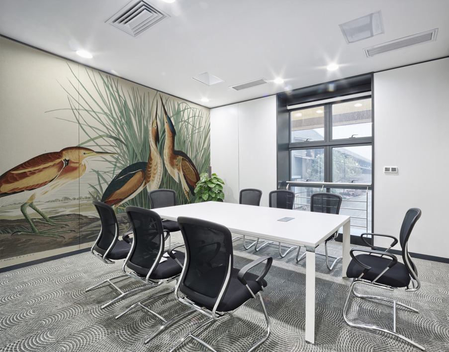 Hudsonian Godwit Wall Printing