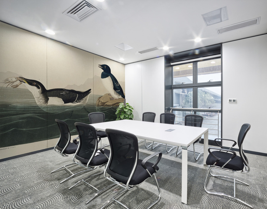 Little Auk Wall Printing