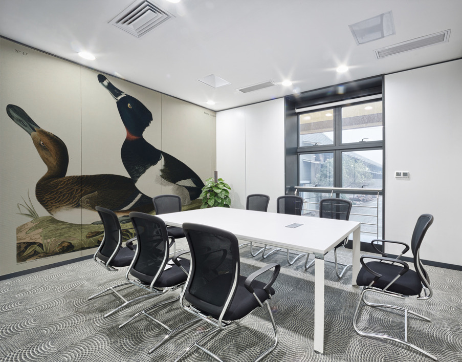 Ring-necked Duck Wall Printing