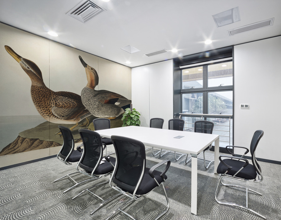 Gadwall Duck Wall Printing