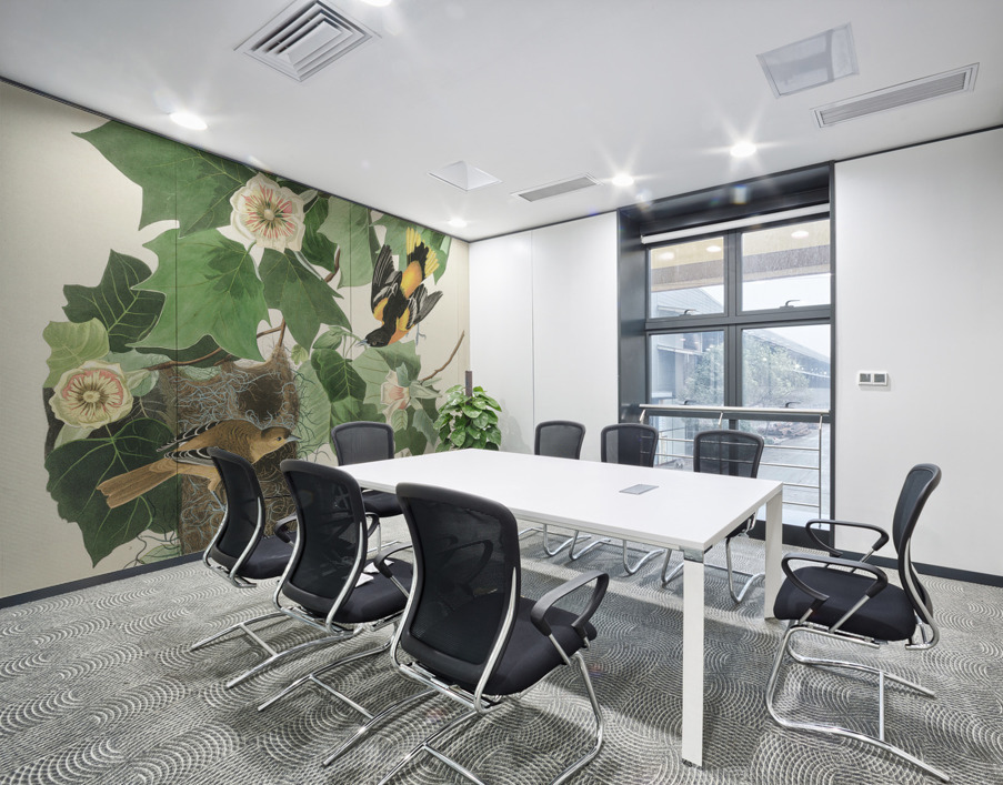 Baltimore Oriole Wall Printing