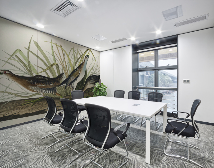 Sora or Rail Wall Printing