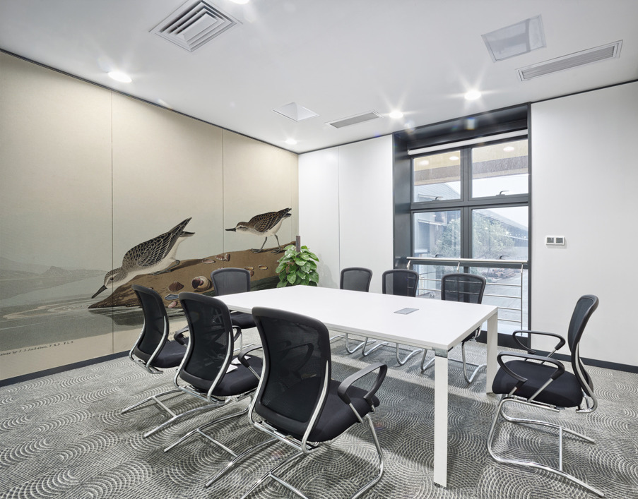 Semipalmated Sandpiper Wall Printing