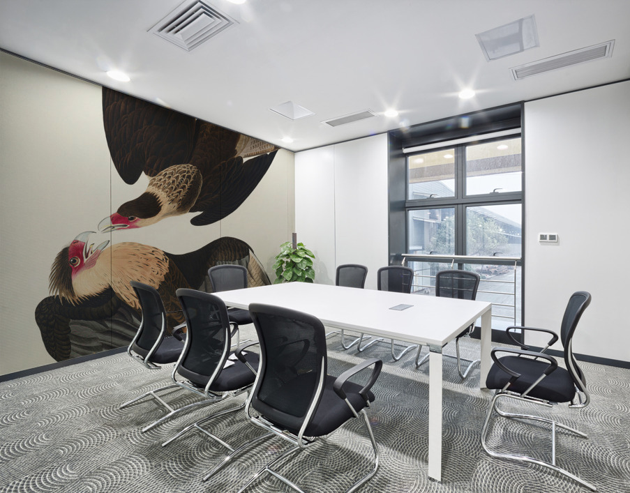 Brasilian Caracara Eagle Wall Printing