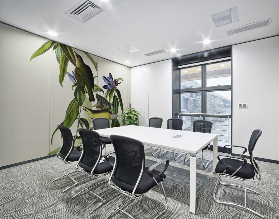 Connecticut Warbler Wall Printing