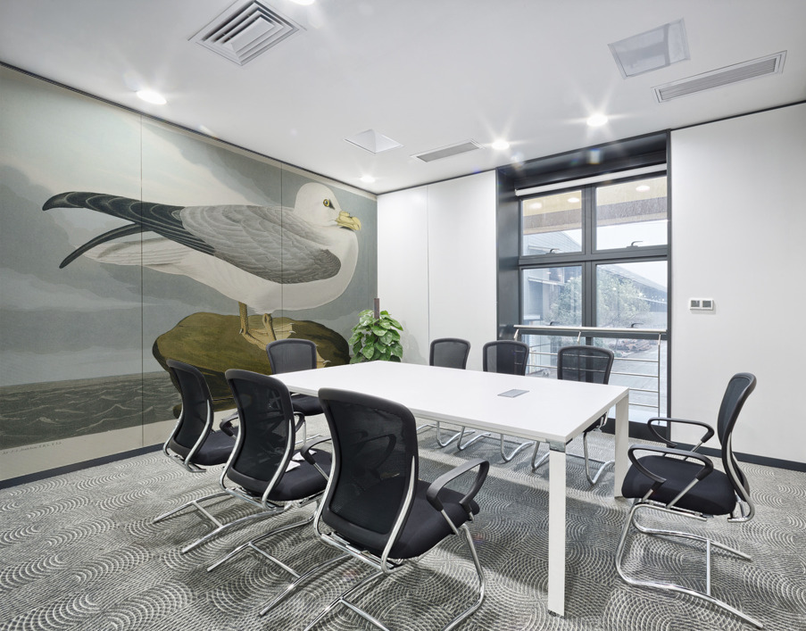 Fulmar Petrel Wall Printing