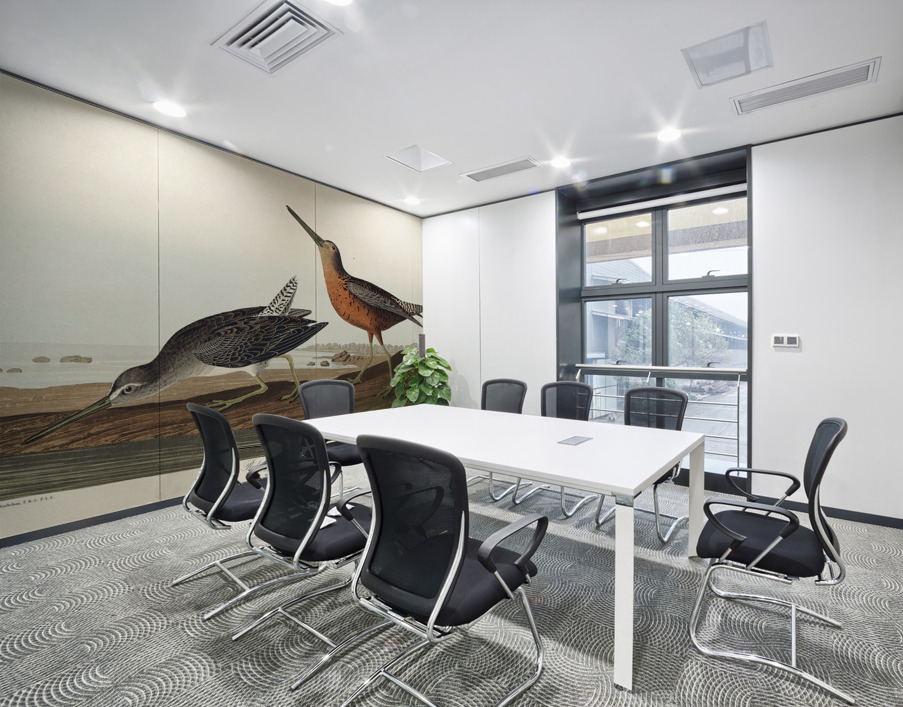 Red-breasted Snipe Wall Printing