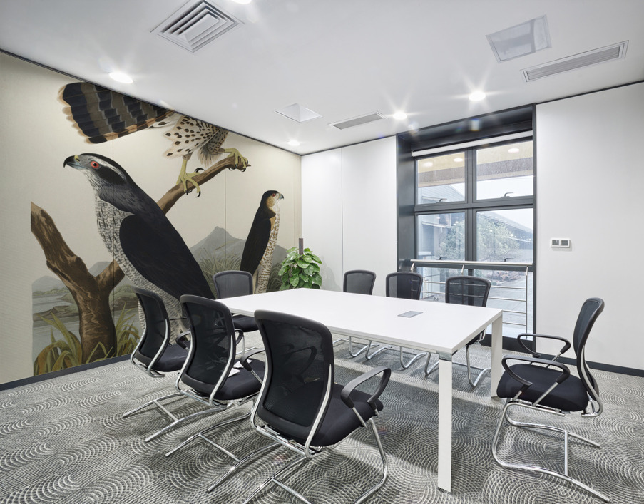 Goshawk and Stanley Hawk Wall Printing