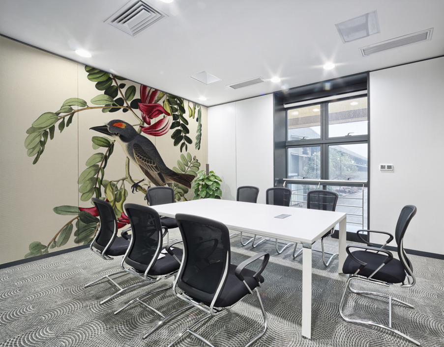 Piping Flycatcher Wall Printing