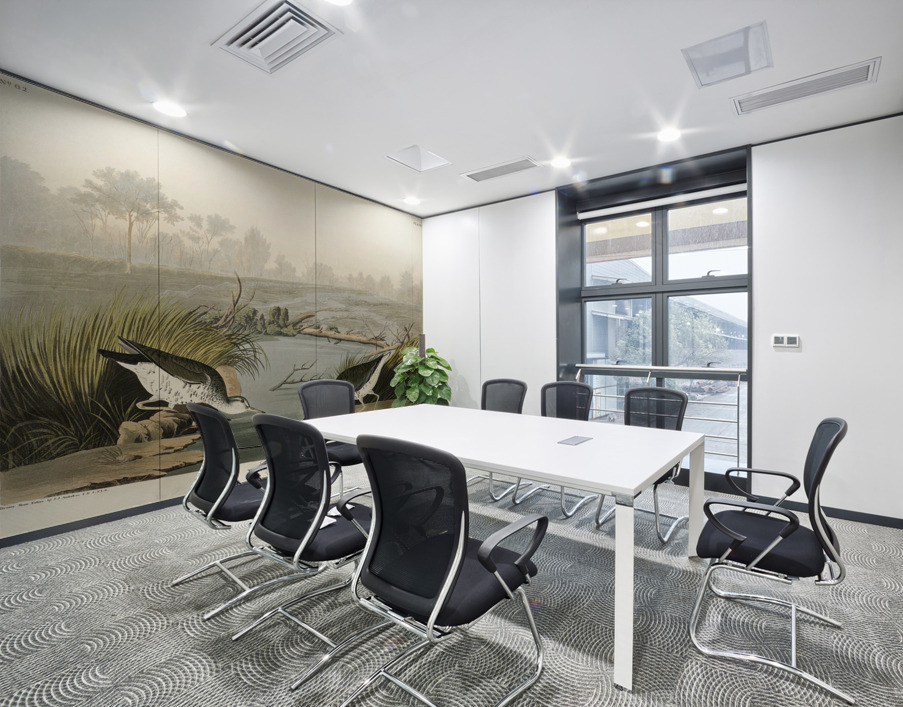 Spotted Sandpiper Wall Printing