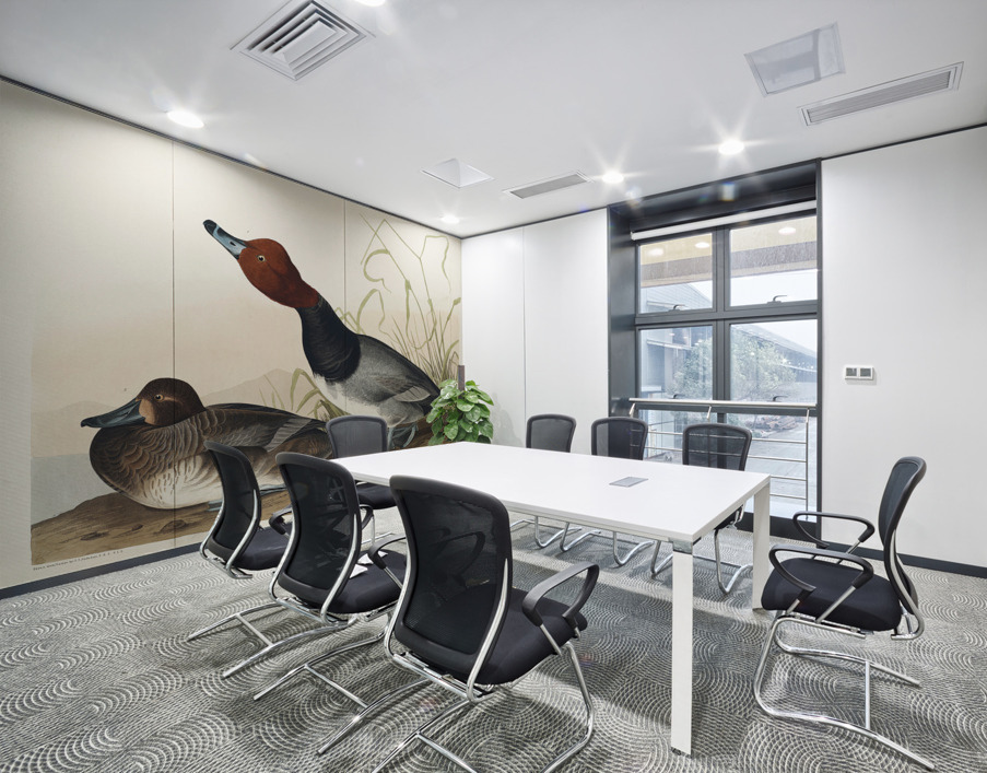 Red-headed Duck Wall Printing