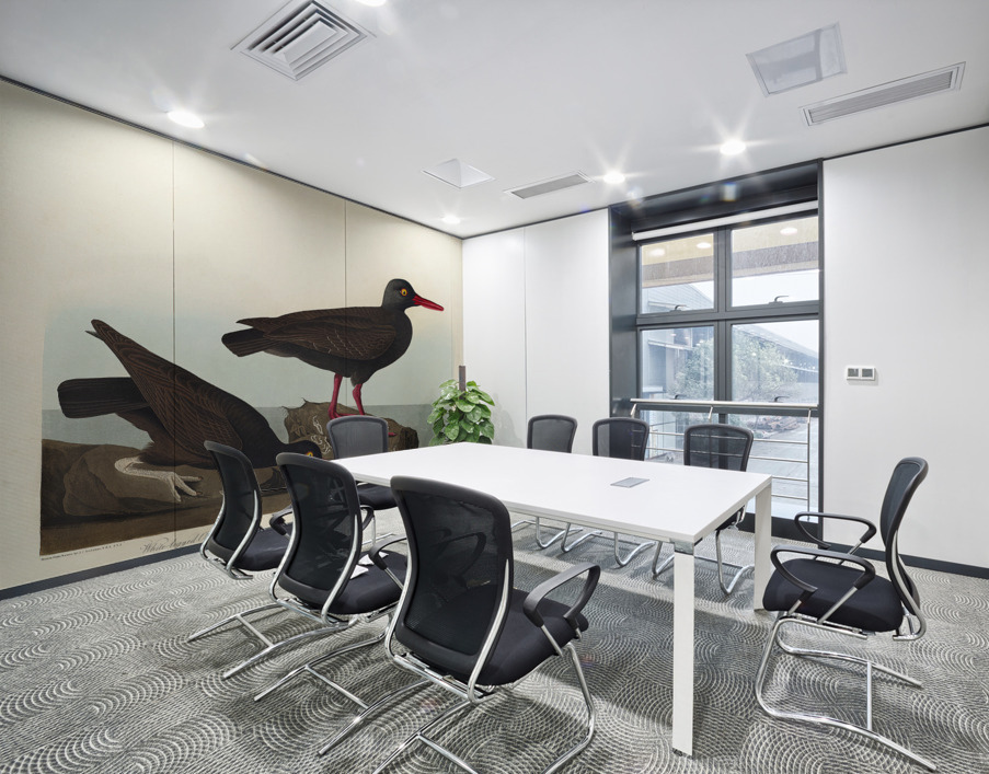 White-legged Oyster-catcher or Slender-billed Oyster-catcher Wall Printing