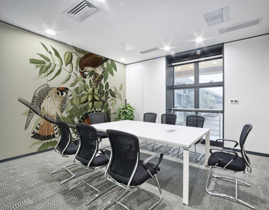 American Sparrow Hawk Wall Printing