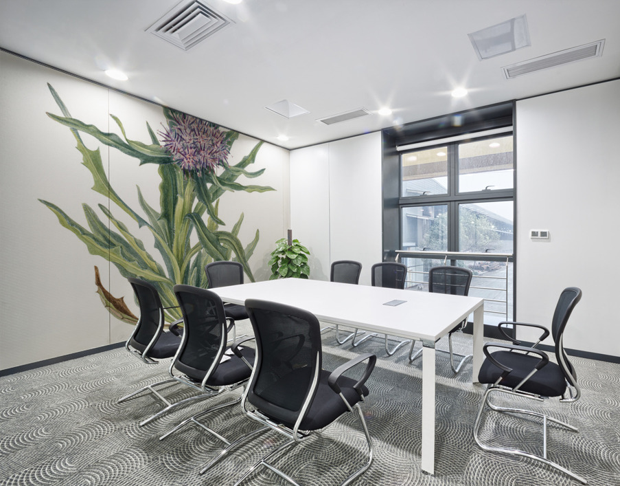 Saussurea Saussurea densa 1925 Wall Printing