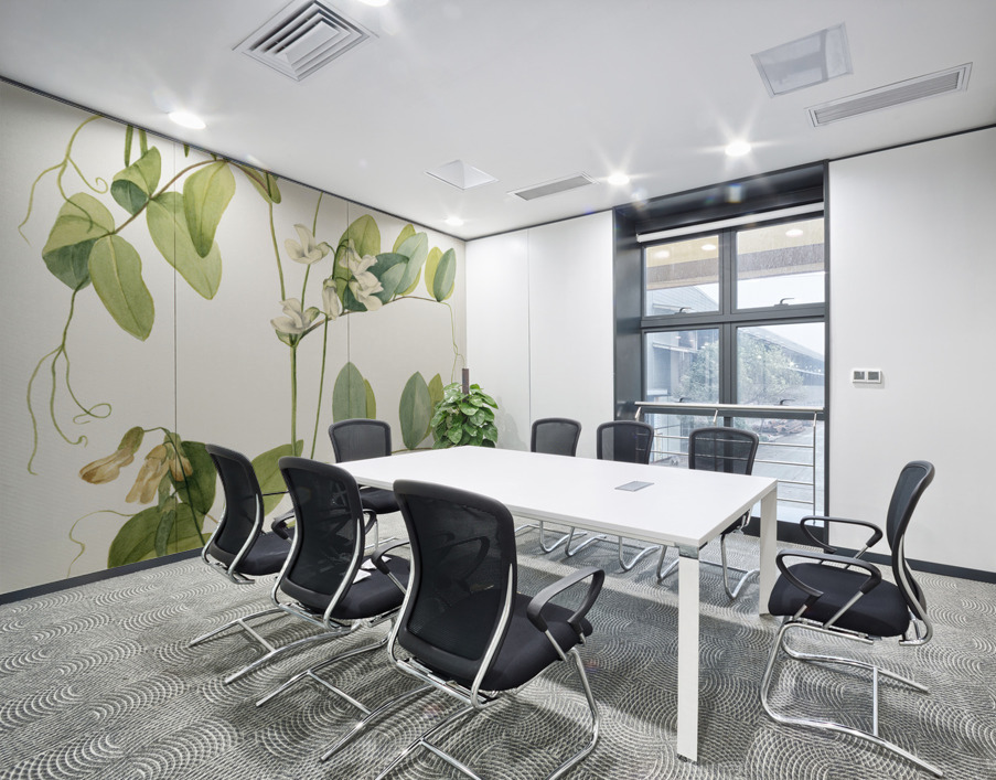 White Pea Lathyrus ochroleucus 1920 Wall Printing