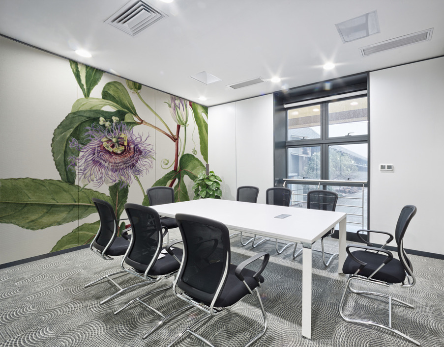 Maypop Passiflora incarnata 1926 Wall Printing