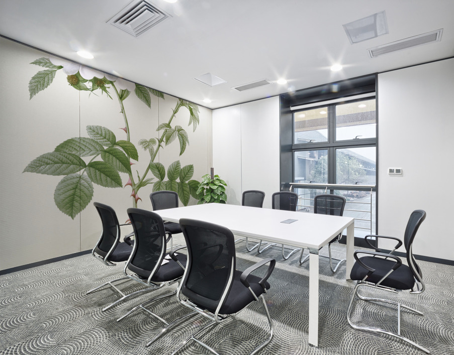 White flowered rose Wall Printing