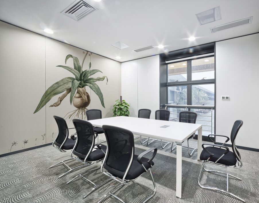 Lachenalia lanceaefolia illustration  Wall Printing