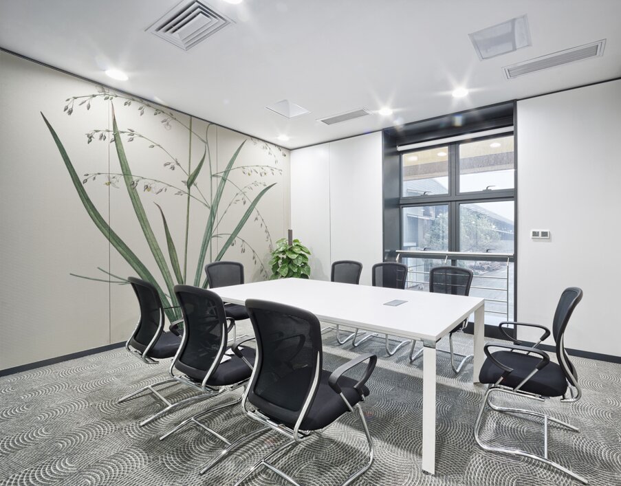 Veltheimia abyssinica illustration  Wall Printing