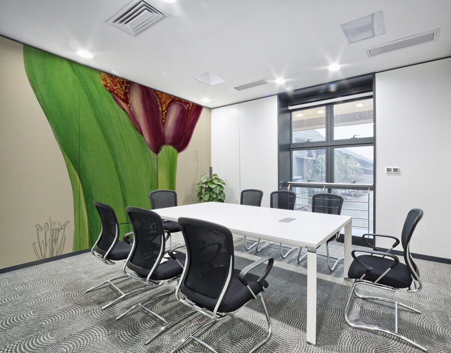 Haemanthus Natalensis Wall Printing