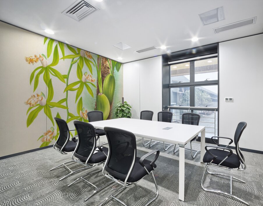 Coelogyne peltastes Wall Printing