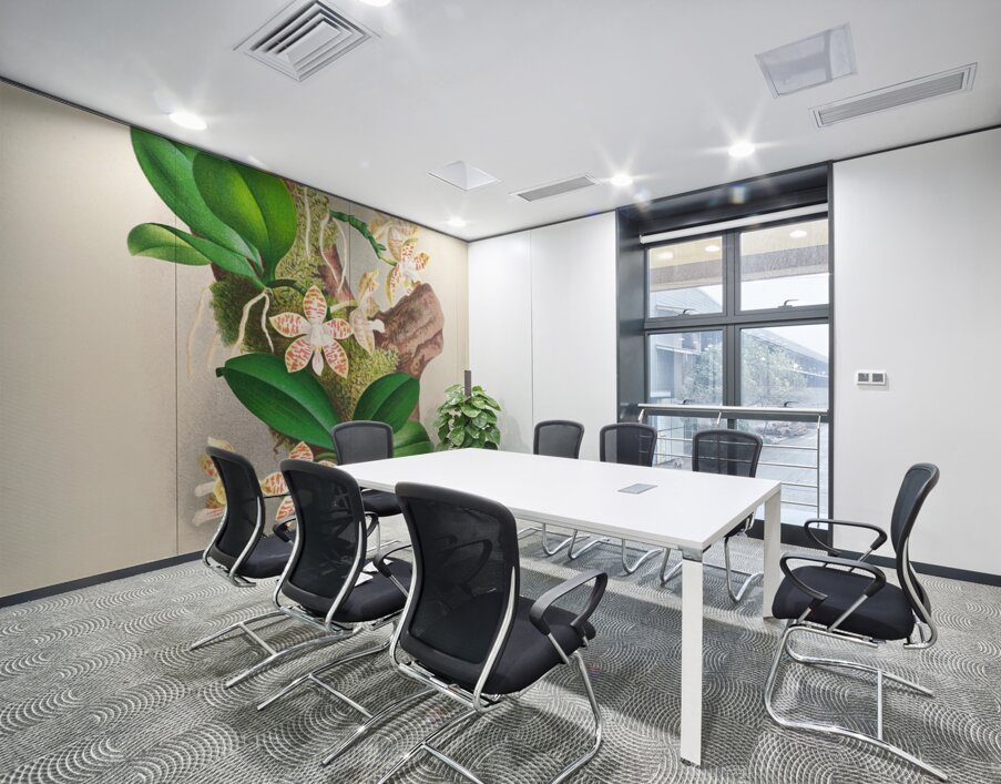 Phalaenopsis sumatrana Wall Printing