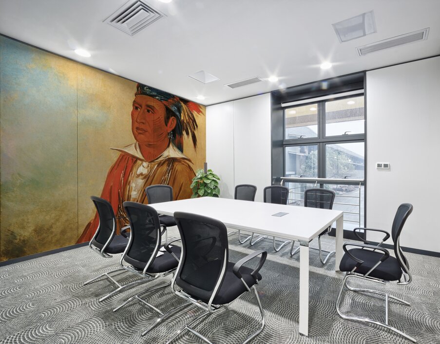 Wah-Pón-Jee-A The Swan a Warrior 1830 Wall Printing