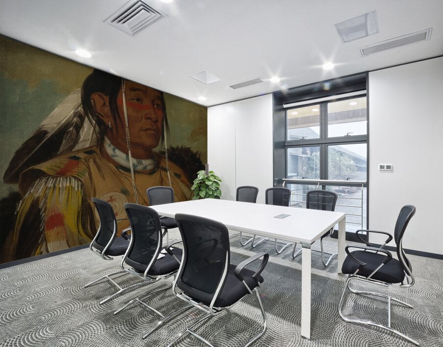 Sha-Có-Pay The Six Chief of The Plains Ojibwa 1832 Wall Printing