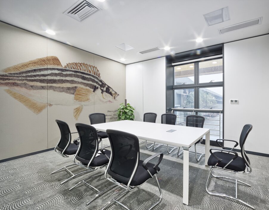 Antique fish latris lineata common trumpeter South Pacific Fishes by Frank Edward Clarke 1849-1899.  Wall Printing