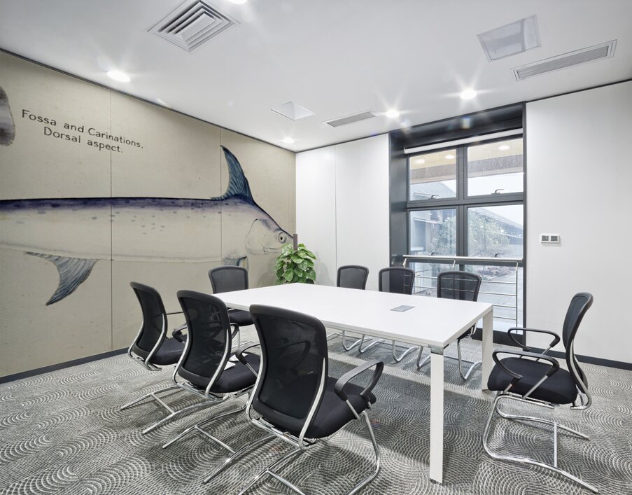 Antique Sword fish South Pacific Fishes by Frank Edward Clarke 1849-1899.  Wall Printing