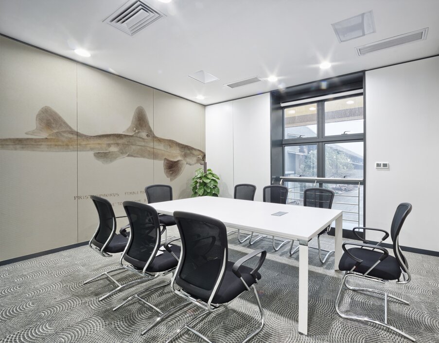 Antique fish pristiophorus nudipinnis South Pacific Fishes by Frank Edward Clarke 1849-1899.  Wall Printing