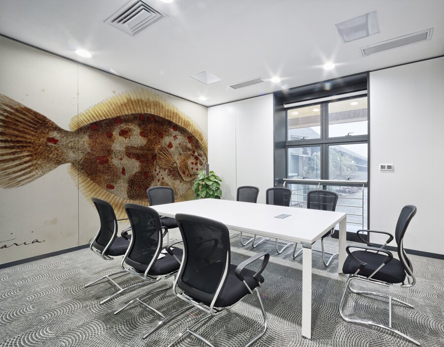 Antique fish Rhombosolea retiaria NZ : Black flounder South Pacific Fishes by Frank Edward Clarke 1849-1899.  Wall Printing