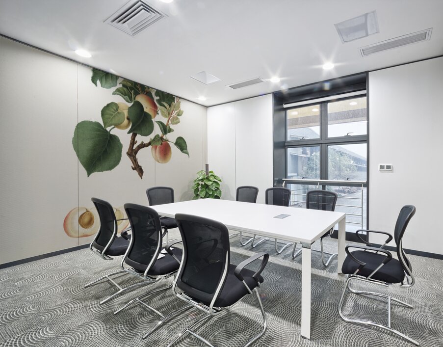 Apricot Alessandrina seconda from Pomona Italiana 1817 - 1839 by Giorgio Gallesio 1772-1839.  Wall Printing