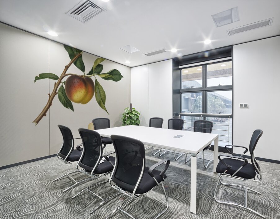 Peach Prunus persica from Pomona Italiana 1817 - 1839 by Giorgio Gallesio 1772-1839.  Wall Printing