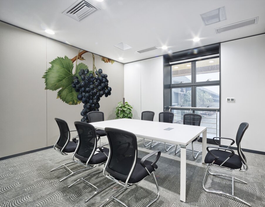 Grape Spanna Vitis vinifera Pedemontana from Pomona Italiana 1817 - 1839 by Giorgio Gallesio 1772-1839.  Wall Printing