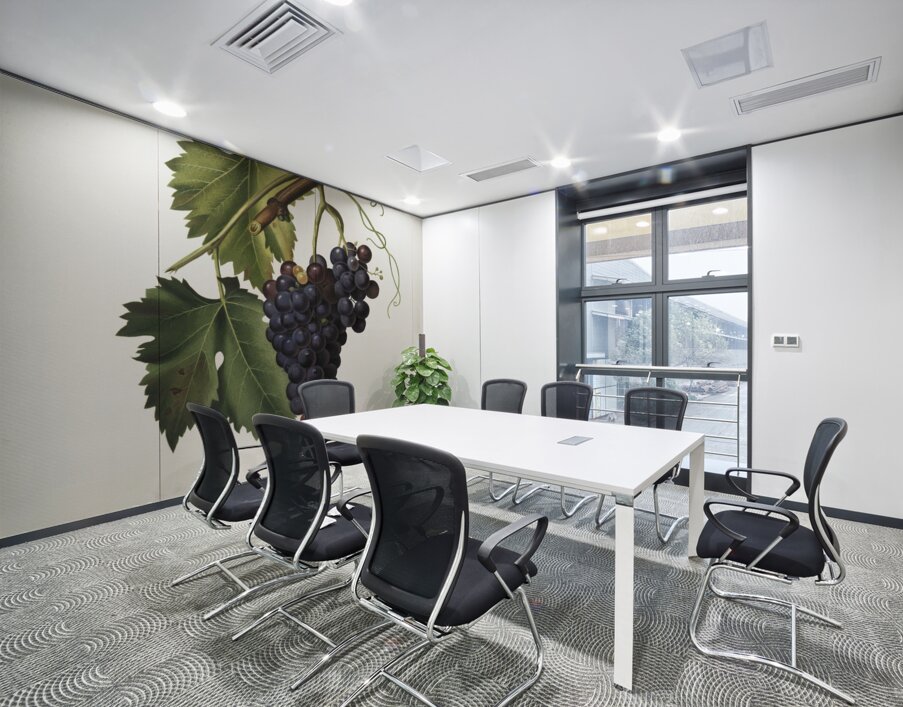 Black grape Vitis vinifera from Pomona Italiana 1817 - 1839 by Giorgio Gallesio 1772-1839.  Wall Printing